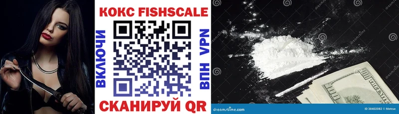 Купить закладки  Волчанск  Кокаин Fish Scale 