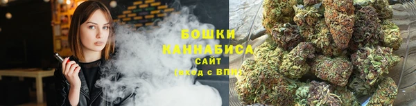 тгк Каменск-Шахтинский