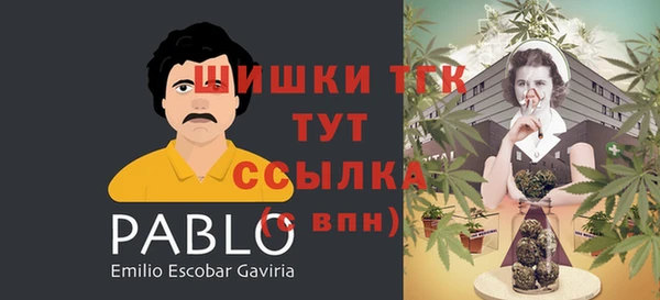 тгк Каменск-Шахтинский