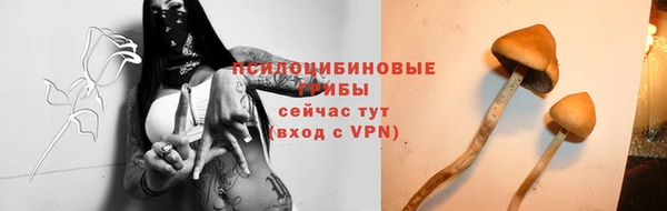 таблы Карпинск